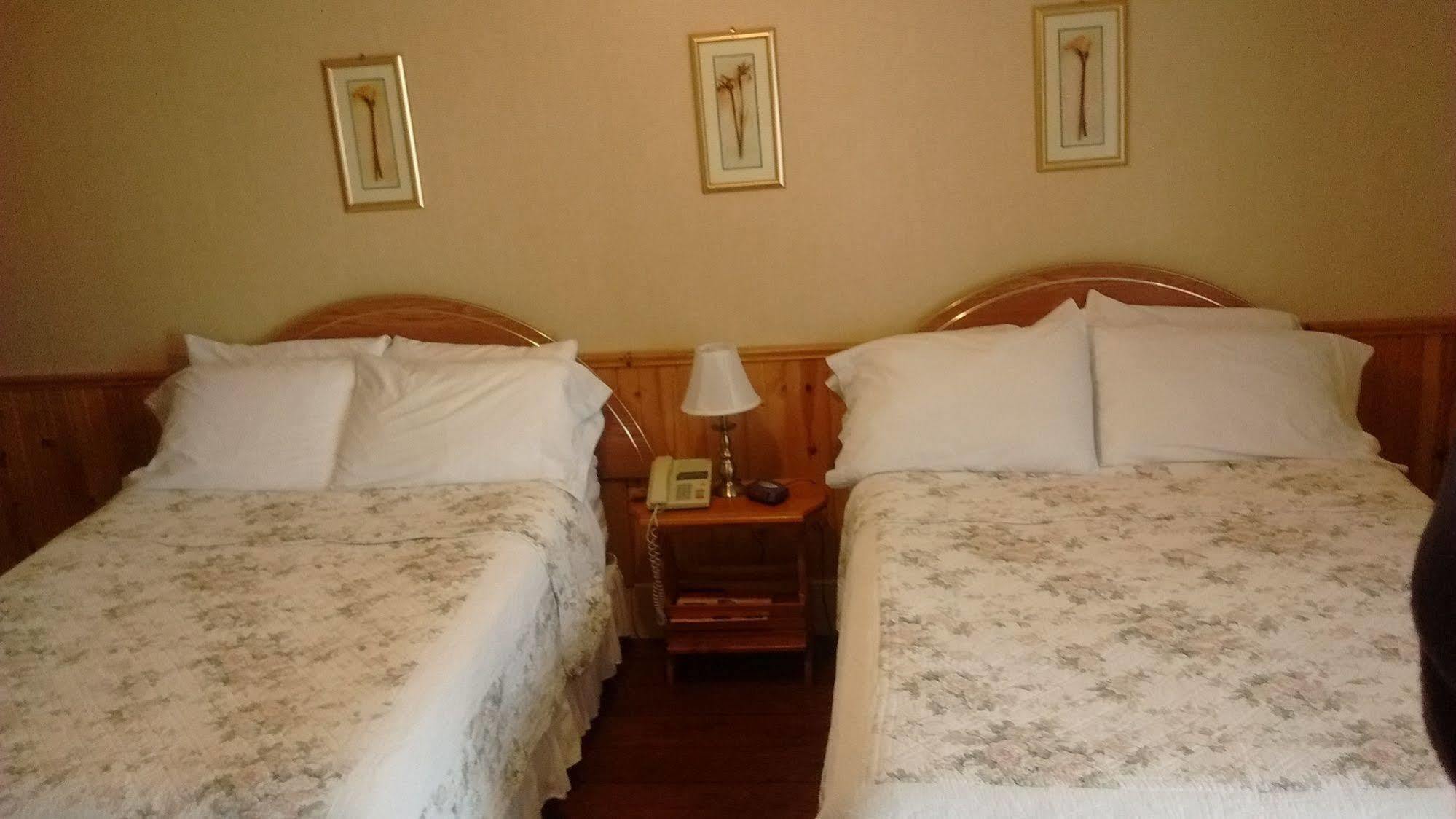 Mackenzie Motel & Cottages เชลเบิร์น ภายนอก รูปภาพ